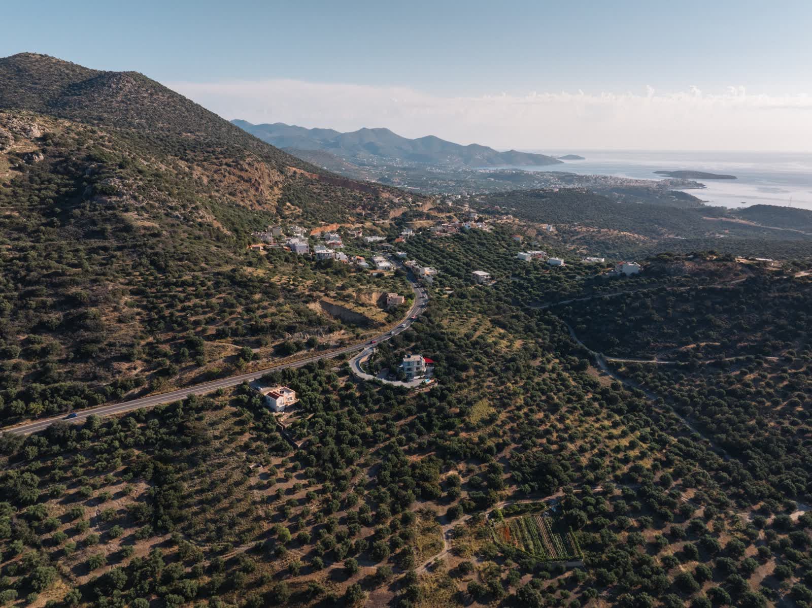 Olive hills stepping down to the sea