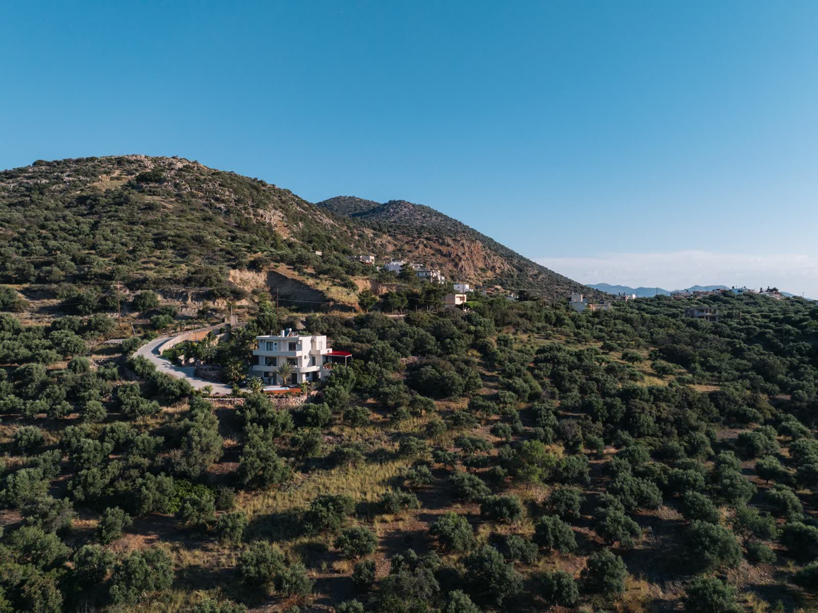 The house on its hillside, surrounded by a hundred and twenty olive trees
