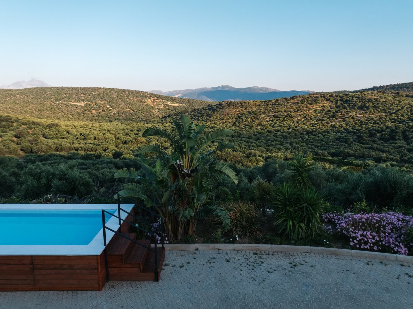 The pool and bougainvillea from the air, hills behind