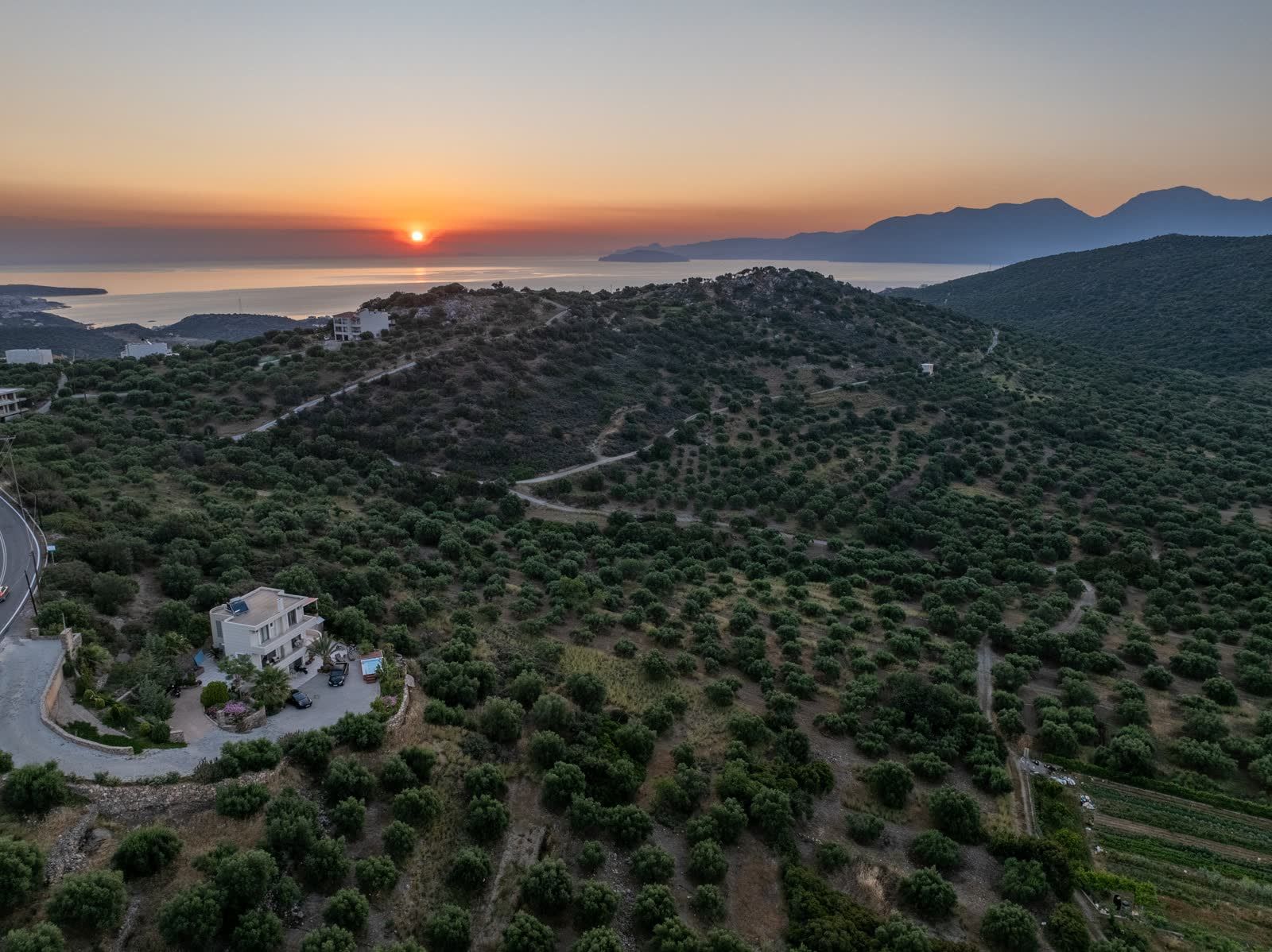 The sun setting into the sea behind the olive-covered hills
