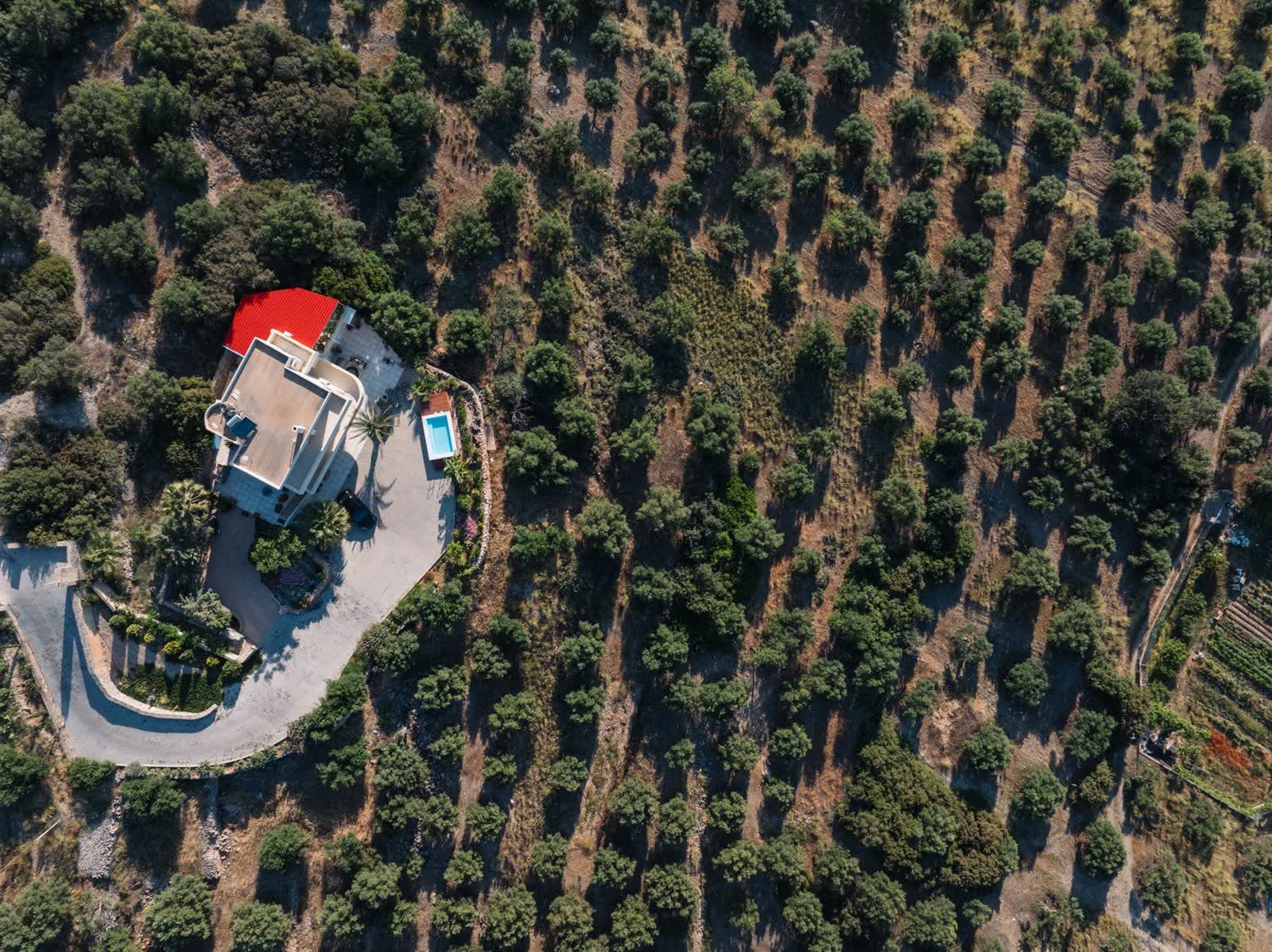 The house from directly above, ringed by its olive trees and driveway