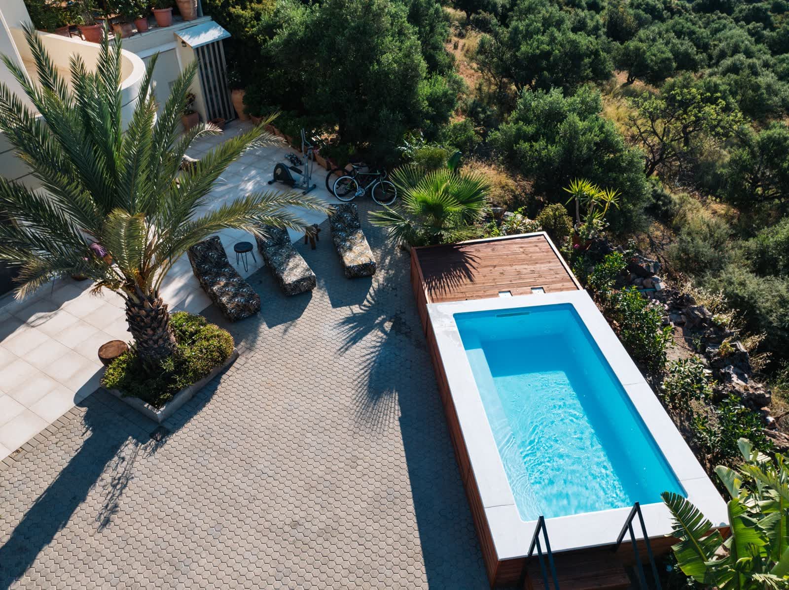 The pool terrace from above, a palm tree throwing its shadow across the stone