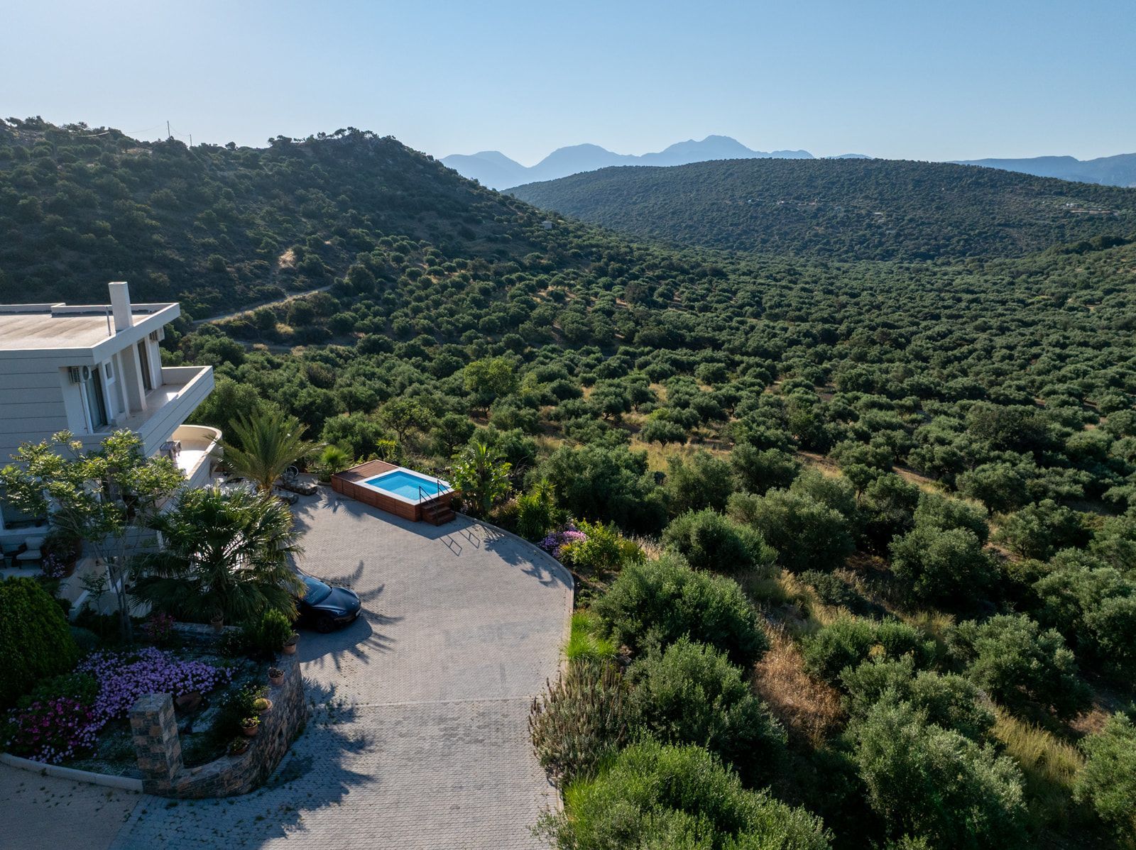 Aerial view over the olive groves toward the mountains